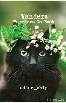 【wanders 】» warriors oc guide book 