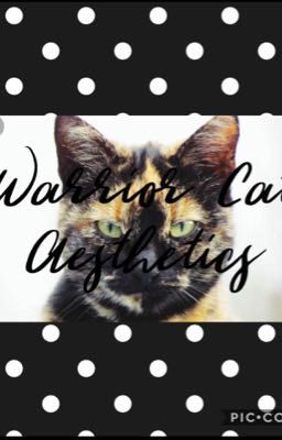 Warrior Cat Aesthetics+Wof+Dogs