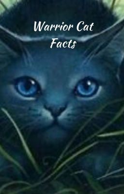 Warrior Cat Facts!