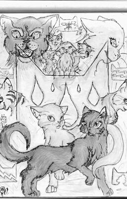 Warrior Cats: Alla Ricerca Dei Clan