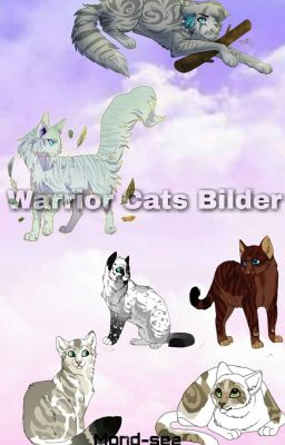 Warrior Cats Bilder