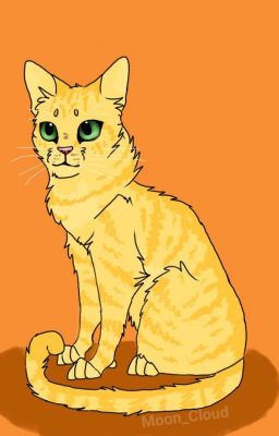 Warrior Cats : Elemental Clans Rp