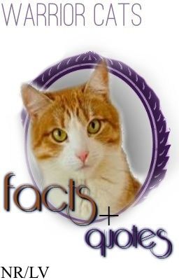 Warrior Cats Facts & Quotes