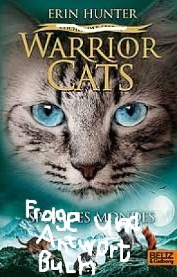 Warrior Cats Frage und Antwort und Geschichten Buch