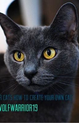 Warrior Cats: Guide to making your own warrior cat