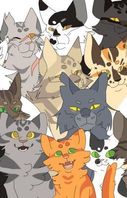 Warrior Cats: How many cats are Firestar connected to? (20 follower special!)