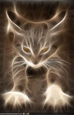 Warrior Cats Name Generator!!