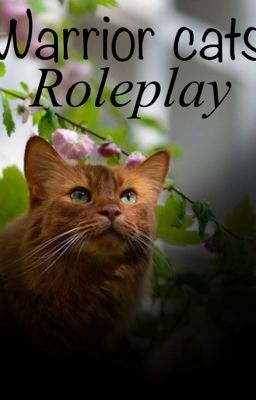 Warrior cats roleplay