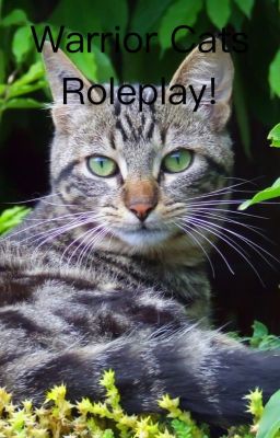 Warrior cats roleplay!