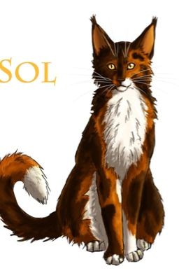 Warrior Cats RP (Closed!)