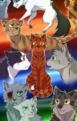 Warrior Cats {Rpg} Finstere Wahrheit