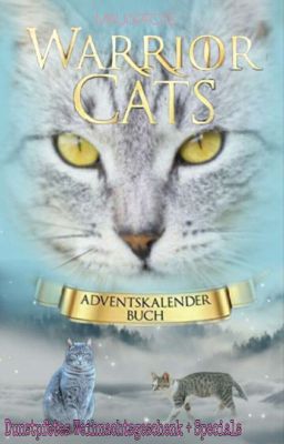 Warrior Cats Weihnachts-Special✨ (Adventskalender) |✓