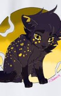 Warrior Cats WoP