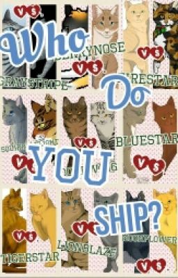 Warriors Cat Shippings