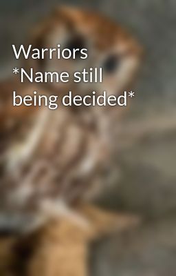 Warriors *Name still being decided*