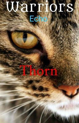 Warriors: Thorn|•|•| Short Story