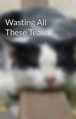 Wasting All These Tears