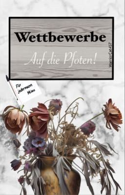 Wettbewerbe - Auf die Pfoten!