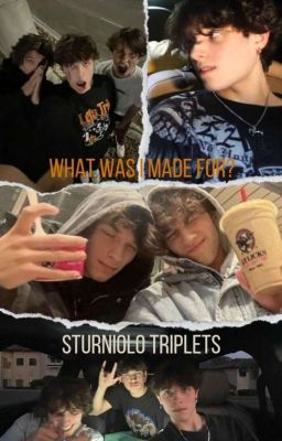 What was I made for? // Sturniolo Triplets