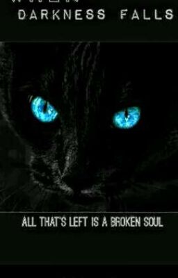 When Darkness Falls, All That's Left is a BrOkEn Soul 