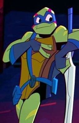 When the World Looks Clean (ROTTMNT LeoXReader)