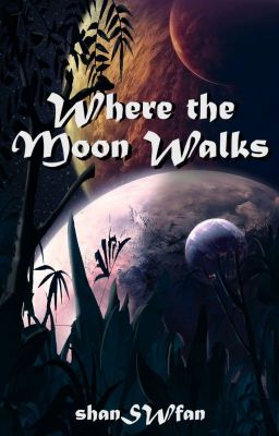 Where the Moon Walks