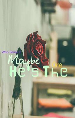 Who Series 2: Maybe, He's The One 