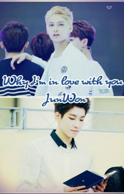 Why I'm in love with you? [Oneshot | JunWon/WonHui]