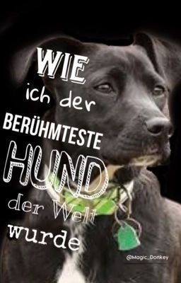 Wie ich der berühmteste Hund der Welt wurde 