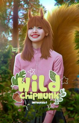 wild chipmunk ଓ chaelisa