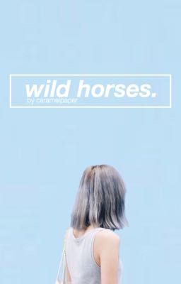 wild horses. | t.j x reader