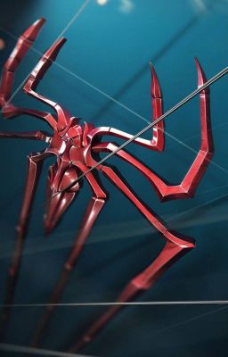 Wild Spider: The Savage Web