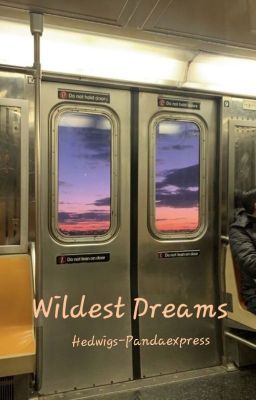 Wildest Dreams (OS)