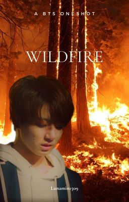 Wildfire ➛ BTS Oneshot