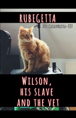 Wilson, His Slave And The Vet. 