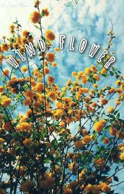 wind flower ♪ヽ(*'∀')ﾉ