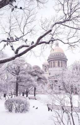 Winter in Saint Petersburg 