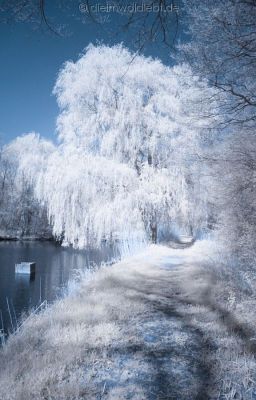 Winterimpressionen - Fingerübung 2