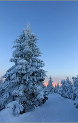 Winterlandschaft - Fingerübung 3