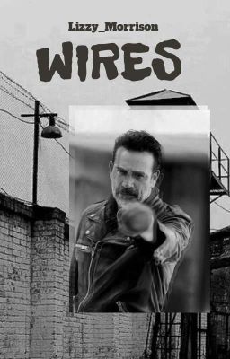 Wires/ Negan x Reader