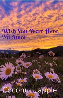 Wish You Were Here,Mi Amor
