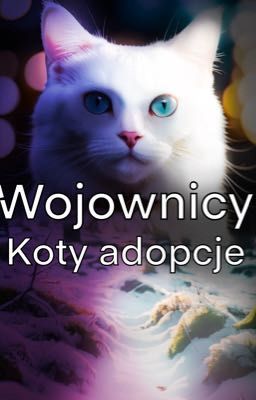 Wojownicy - Adopcje Kotów Na Bazach Kwakwy