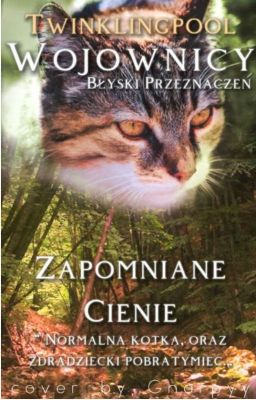 |🍵| Wojownicy: Błyski Przeznaczenia - Zapomniane Cienie (tom 1)