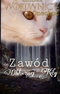 Wojownicy Oneshot Zawód Obłocznej Kity