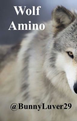 Wolf Amino!