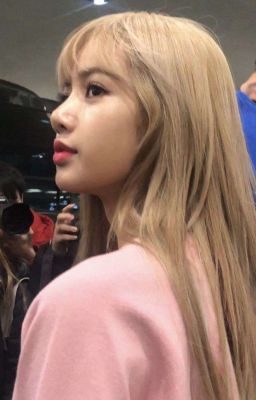 WOLFFIA ━━ Jenlisa