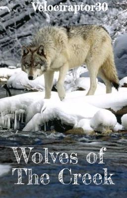 Wolves of The Creek ((A Wolf RP))