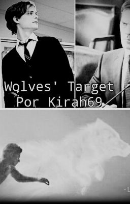 Wolves' Target | Hotch/Reid | Hombres lobo