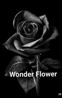 Wonder Flower