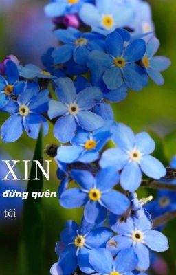 Xin Đừng Quên Tôi